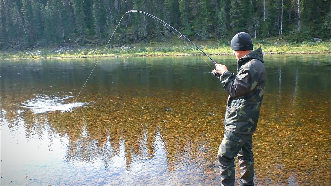 Рыбалка на таёжной реке. В тайгу на неделю. Сибирь. Хариус, ленок. Изба с медвежьими следами.