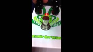 Video thumbnail for Catalinbread Manx Loaghtan Fuzz by Organigrama Guitars
