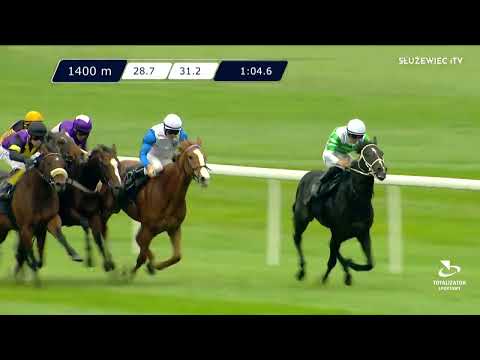 Memoriał Bogdana Tomaszewskiego 08.10.2022 - (Dzień 37; Gonitwa 3)