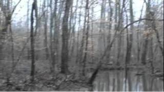 preview picture of video 'Snake Hollow Road, Sneedville, TN 37869'