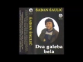 Saban Saulic - Dva galeba bela - (Audio 1979) HD