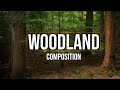 Woodland Photography | Working on Composition