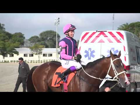 230513 c03 - JUMPINGBOARD (BRZ) - HIPODROMO DE MARONAS