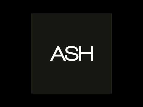Avicii vs Audien - Let Me Show You Hindsight (ASH Mashup)