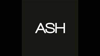 Avicii vs Audien - Let Me Show You Hindsight (ASH Mashup)