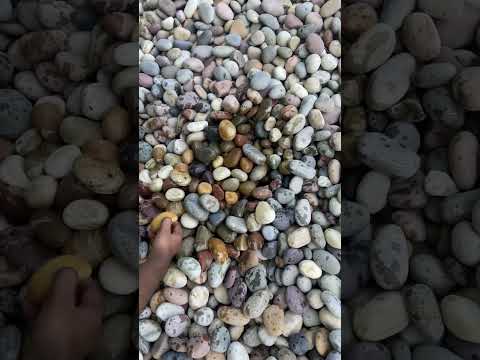 Maroon Pebble Stone