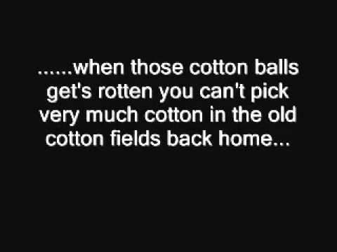 download lagu mp3 mp4 Lirik Cotton Field, download lagu Lirik Cotton Field gratis, unduh video klip Lirik Cotton Field