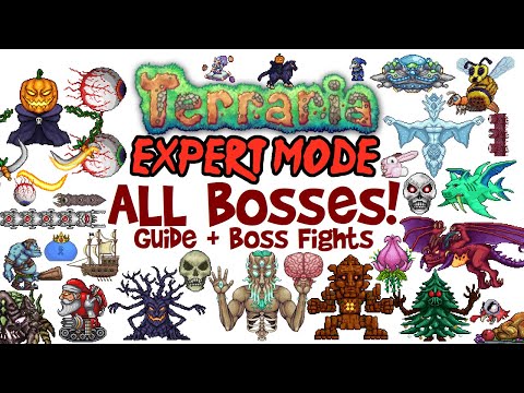 terriria bosses in order｜TikTok Search