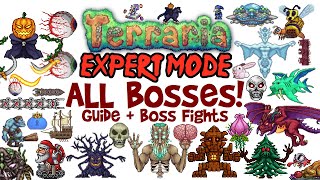 Terraria All Bosses In Order Expert Mode Guide & Fights! (Easiest to Hardest, How to Spawn Them)