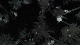 Magnog - More Weather [Full Album]