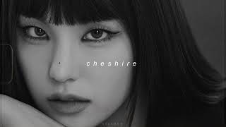 Cover art for Cheshire (Sped up Ver.)