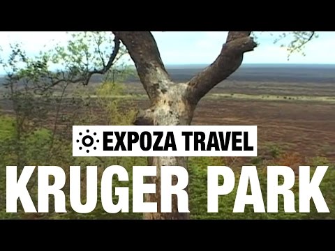 Kruger National Park Vacation Travel Vid