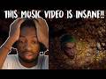WTF AM I WATCHING... | Balming Tiger - 'Oui' OMV (REACTION)