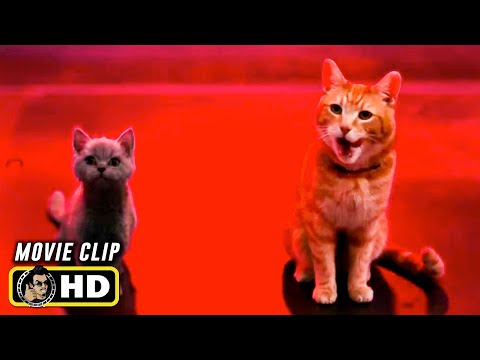 THE MARVELS Clip - "Eaten By Kittens" (2023)