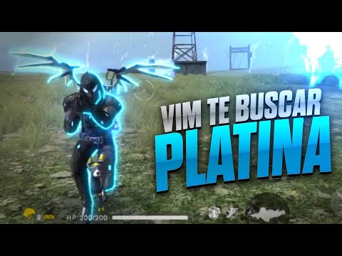 TEMP. 17 MESTRE HOJE ? LIVE ON