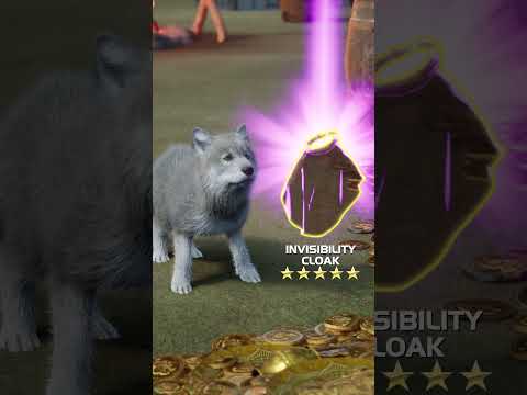 👊👊Jerry's Brave Adventure!  "Watch as I defeat the mighty Kong!" #wolfgame #dog #kingkong