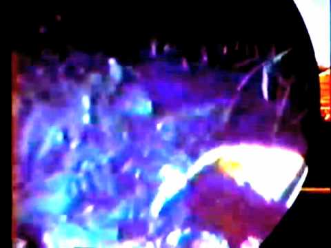 "Land of the Pink Pterodactyl" Animal Vegetable Television, the T.V. Series