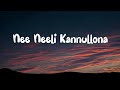 Nee Neeli Kannullona Dear Comrade Telugu Song Lyrics
