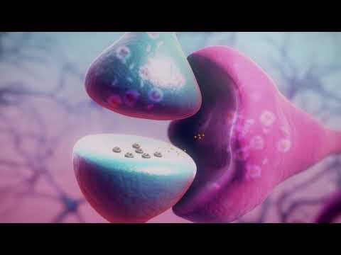 Scientists control brain functions freely using light