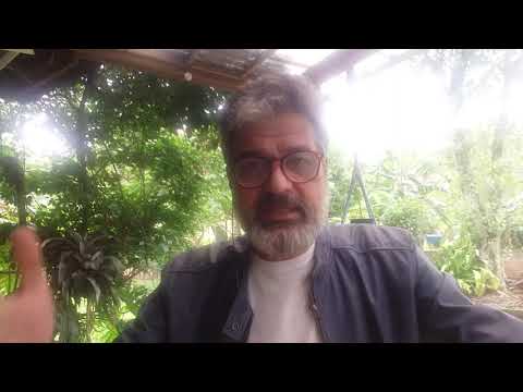 UFSC mantém suspensão de atividades presenciais até 22 de Maio