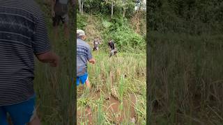 Download lagu Hunting Ruak Ruak With Empty Hands mp3