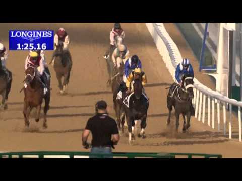 17.01.2015 Merydan (Dubai/UAE) 4.Race District One - Handicap 1.400 m