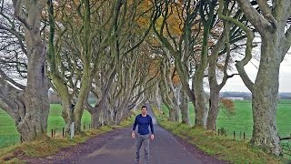 IRELAND ROAD TRIP
