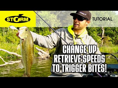 Storm Arashi Rattling Deep 7cm 22g Black Silver Shad 874