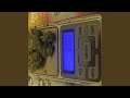 NYC Diesel