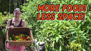Grow More Food in Less Space: The Hydroponic Advantage