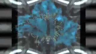 mind in a box   What used to be