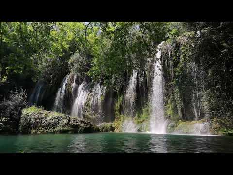 Wasserfallgeräusche mit Vogelgezwitscher im Wald, Naturgeräusche zum Einschlafen & Entspannen