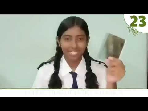 Videos 2022