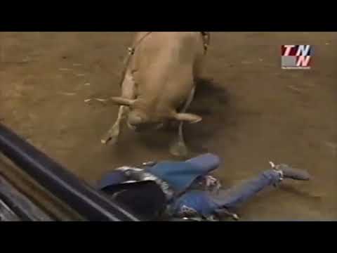 Quite Bucky bops Wiley Petersen - 01 PBR Bakersfield