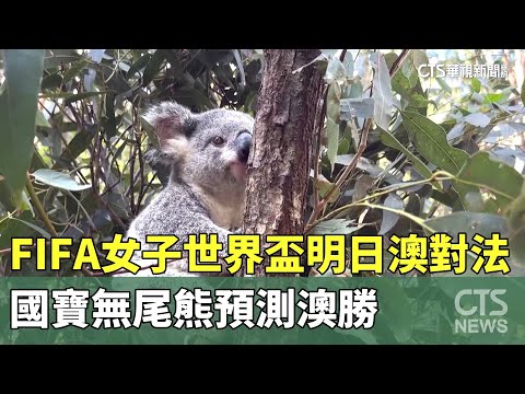 FIFA女子世界盃明日「澳對法」　國寶無尾熊預測澳勝