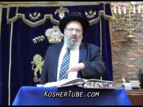 34 BaMidbar - Rabbi Eliezer Breitowitz (BaMidbar 1:1 - 4:20 Numbers - Playtime 44:51 - 2013 05 07)