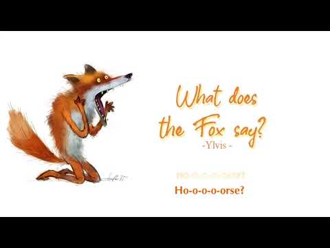 Vietsub | The Fox (What Does the Fox Say?) - Ylvis | Nhạc Hot Tik Tok