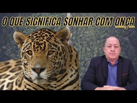 O QUE SIGNIFICA SONHAR COM ONÇA