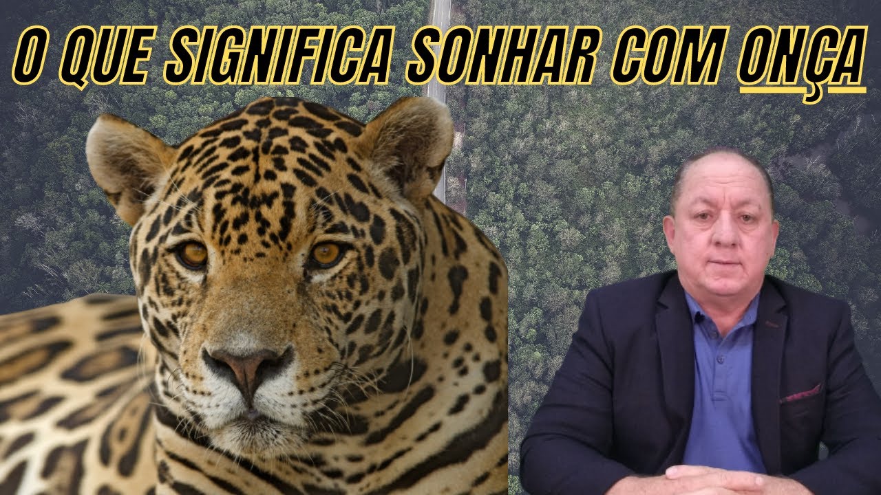 O QUE SIGNIFICA SONHAR COM ONÇA