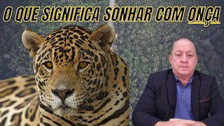 O QUE SIGNIFICA SONHAR COM ONÇA