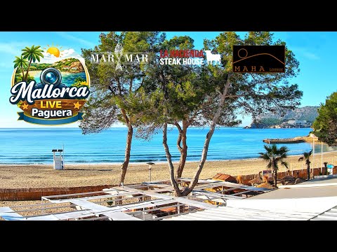 🌞 Live Webcam Paguera Tora Beach | 4K UHD | 24/7 | Mallorca #Stream #Livestream #Mallorca #Balearics