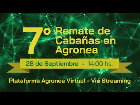 7 REMATE DE CABAÑAS EN AGRONEA | DON CARLOS