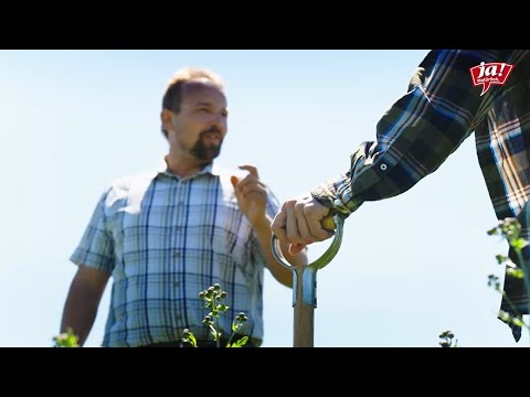 Weißt du was Luzerne sind?