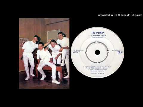 The Kalimba - Jungle Fever