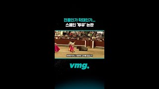 전통인가 학대인가... 스페인 ‘투우’ 논란 / 비디오머그 #shorts