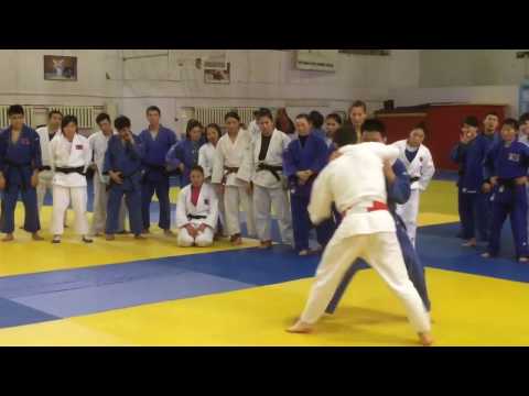 O SOTO OTOSHI — judo technique demonstration