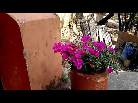 Museu da Fazenda San Gabriel de Barrera