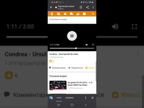 CONDREA-URSUL PACALIT DE VULPE