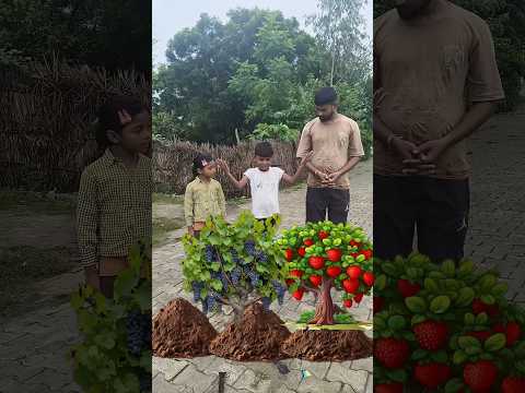 angur ka plant ☘️🌵
