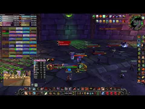 WoW Classic - Naxx Guide: Gluth - 2 Piercing Howl warrior and paladin.